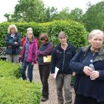 Tour & discussion of topiary in the garden