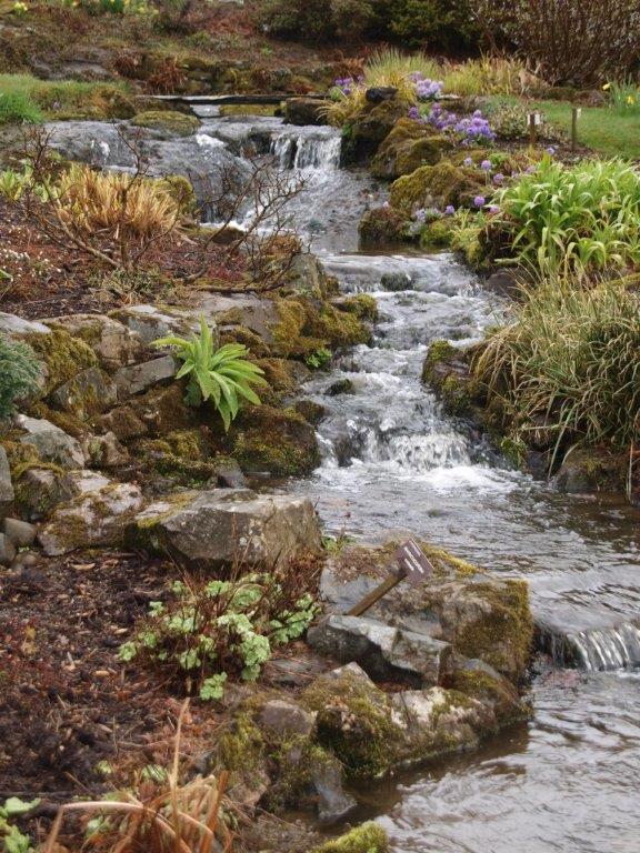 Stream garden at Holehird