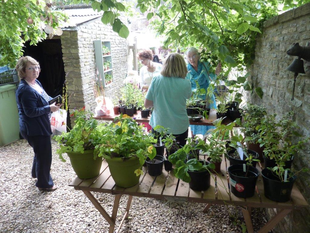 The plant stall