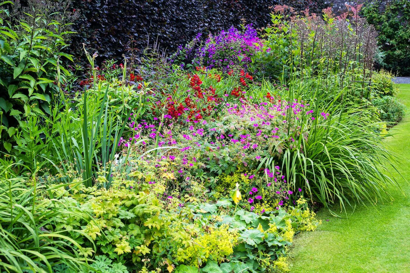 Oxfordshire - Plant Identification Workshop