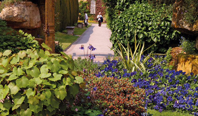 Kent - Herbaceous Border Management (PSD) - SOLD OUT