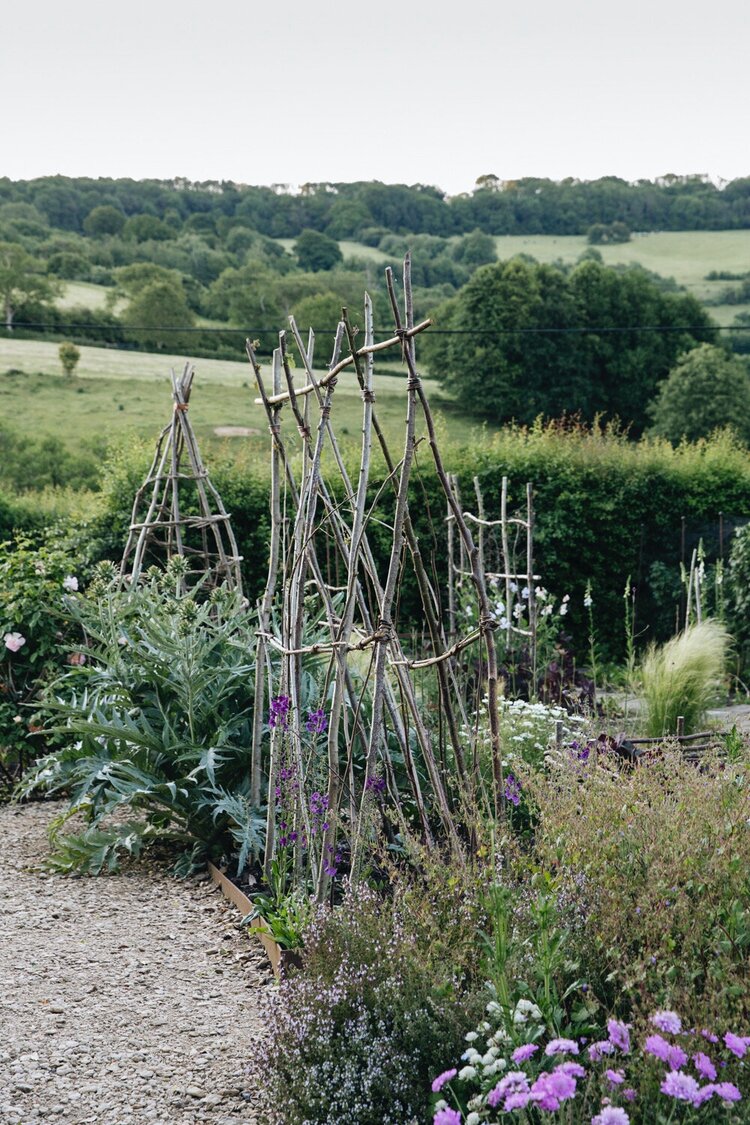Somerset - Edible Gardening