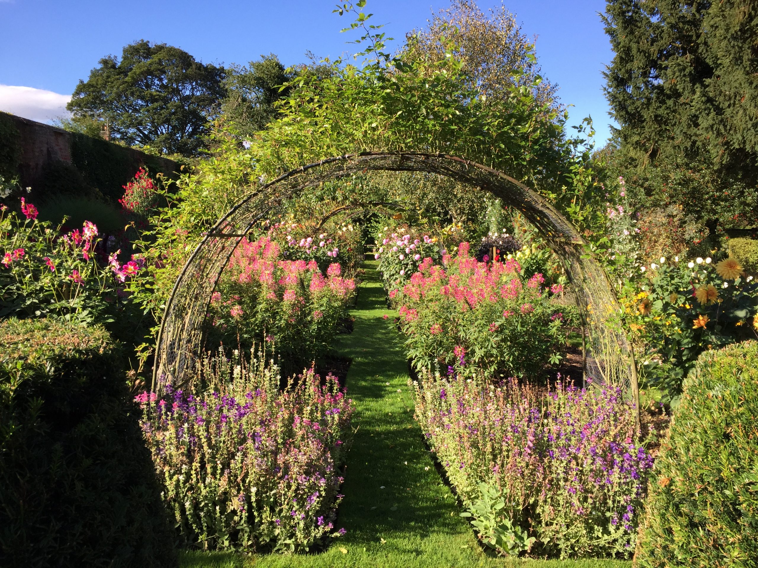 North Yorkshire - Littlethorpe Manor Guided Walk with Head Gardener