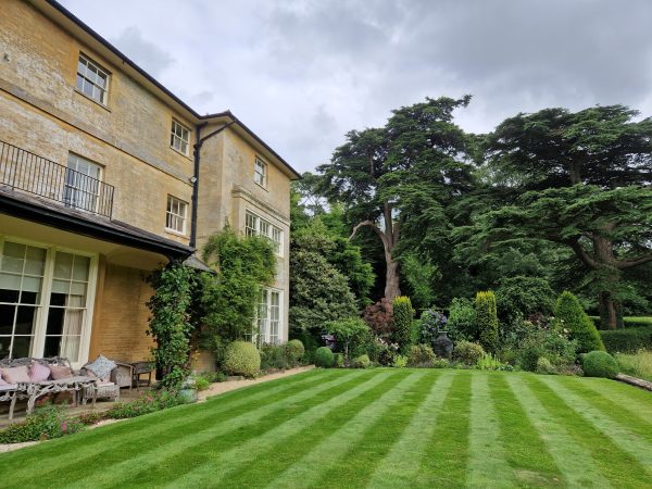 Oxfordshire - Box Hedges: Health, Clipping & Rejuvenation PSD