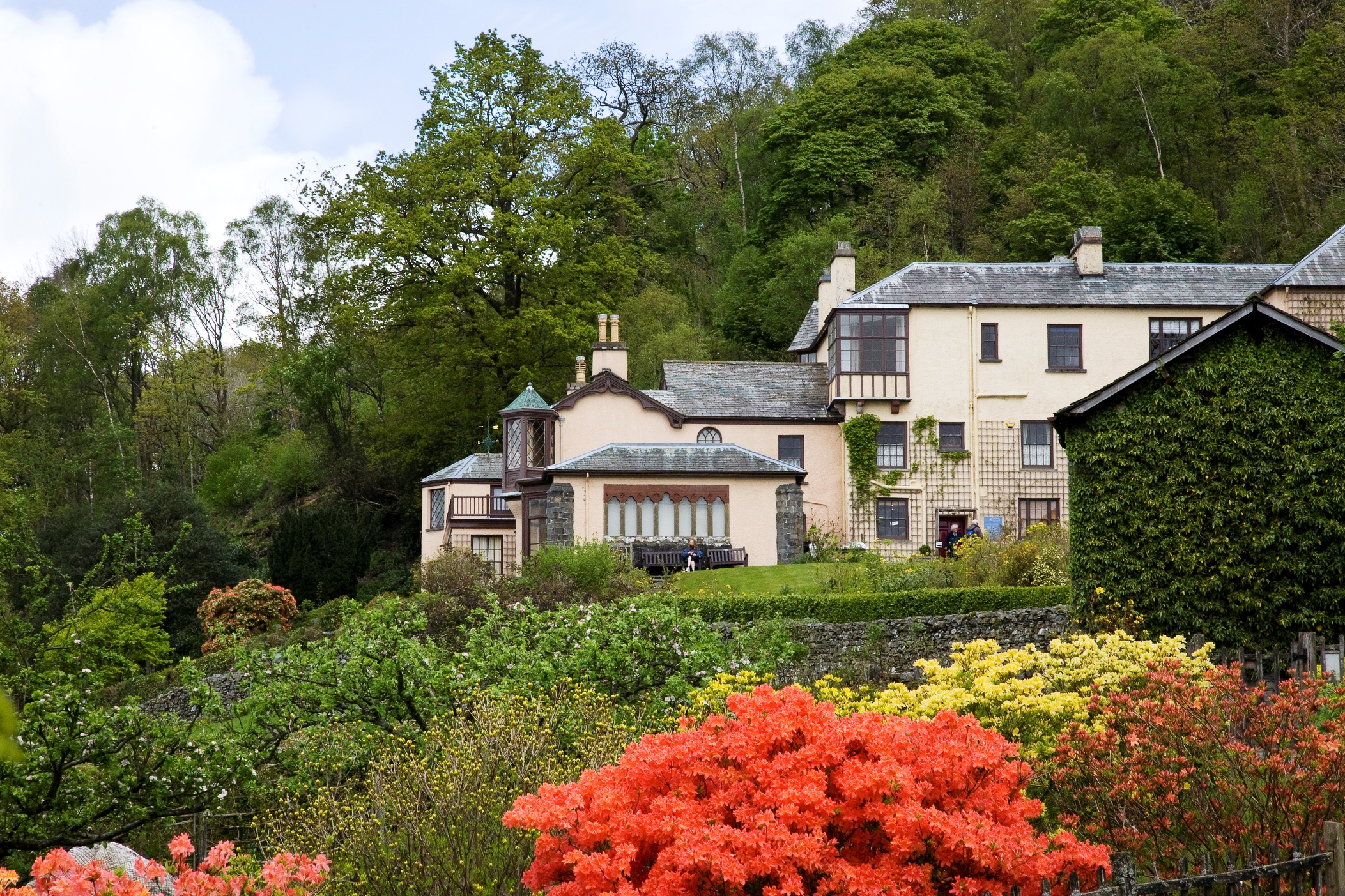 Cumbria - Azalea and Rhododendron Pruning Day