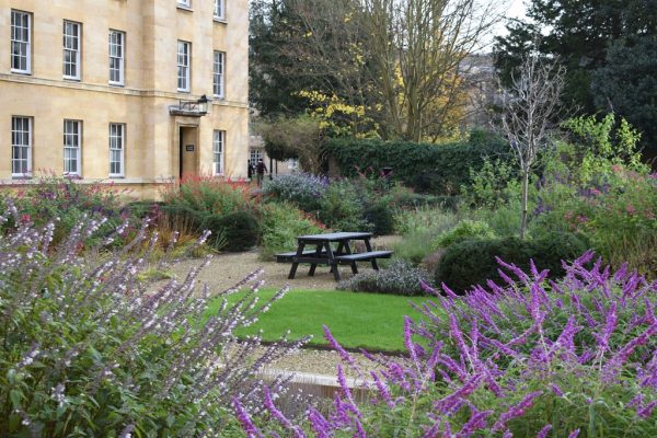 Cambridgeshire - Tour of Christ's College Gardens - Image 3