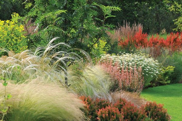 John Massey's Garden
