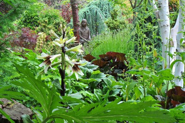 John Massey's Garden