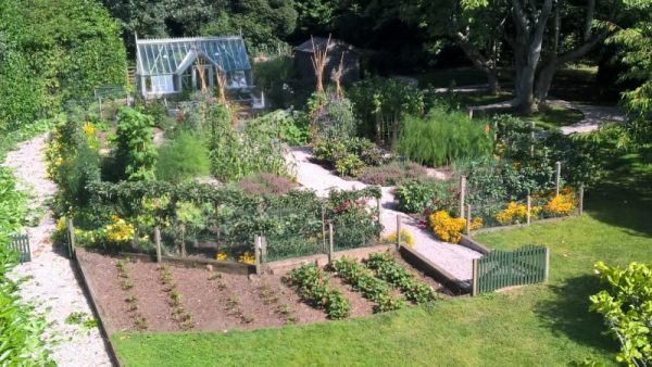 Devon - Tour of Stonelands Gardens - Image 3
