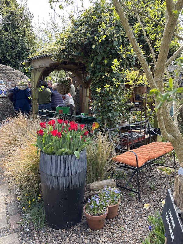 East Sussex - Exploring Plant Families: Genus, Species & Cultivar