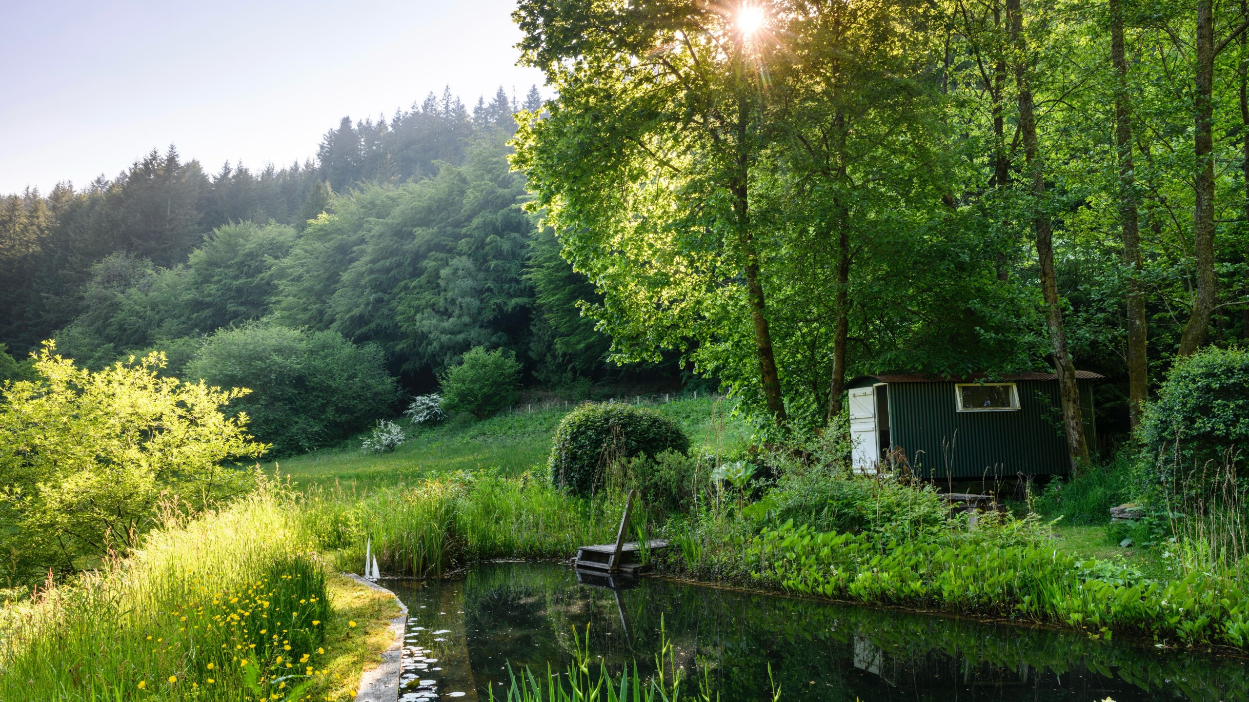 Monmouthshire - Wild Gardening Workshop