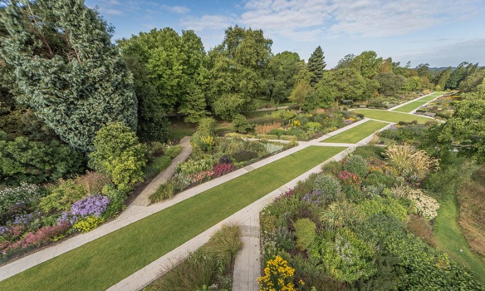 Hampshire - Perennials with Fran Clifton