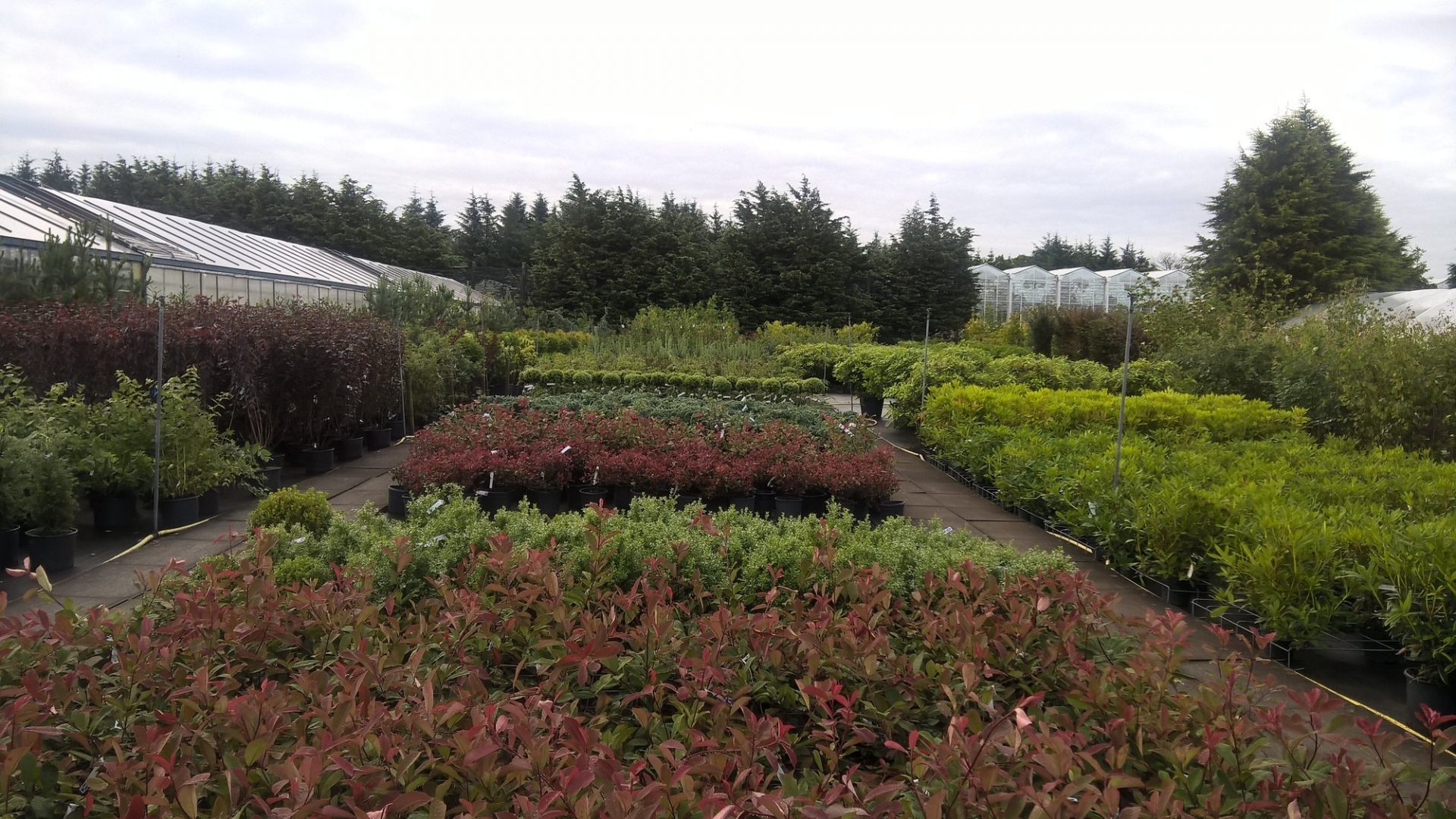 Lanarkshire - Behind the Scenes Tour at McLaren's Nursery