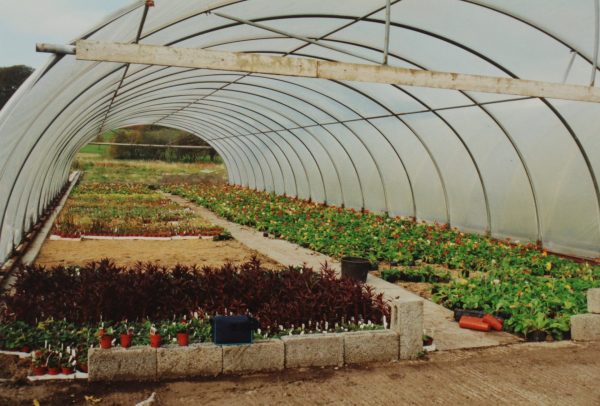 Lanarkshire - Behind the Scenes Tour at McLaren's Nursery - Image 2