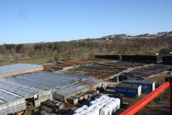Lanarkshire - Behind the Scenes Tour at McLaren's Nursery - Image 3