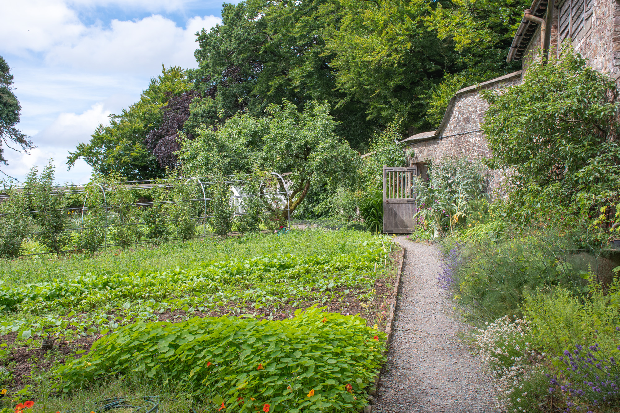 Devon - How to Run/Manage a Productive Kitchen Garden