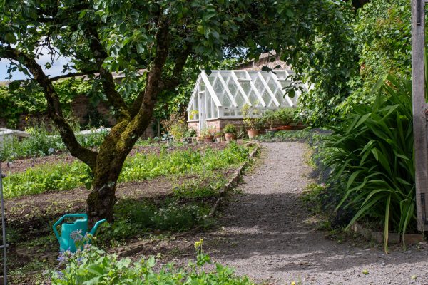 Devon - How to Run/Manage a Productive Kitchen Garden - Image 2