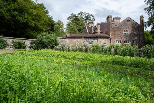 Devon - How to Run/Manage a Productive Kitchen Garden - Image 4