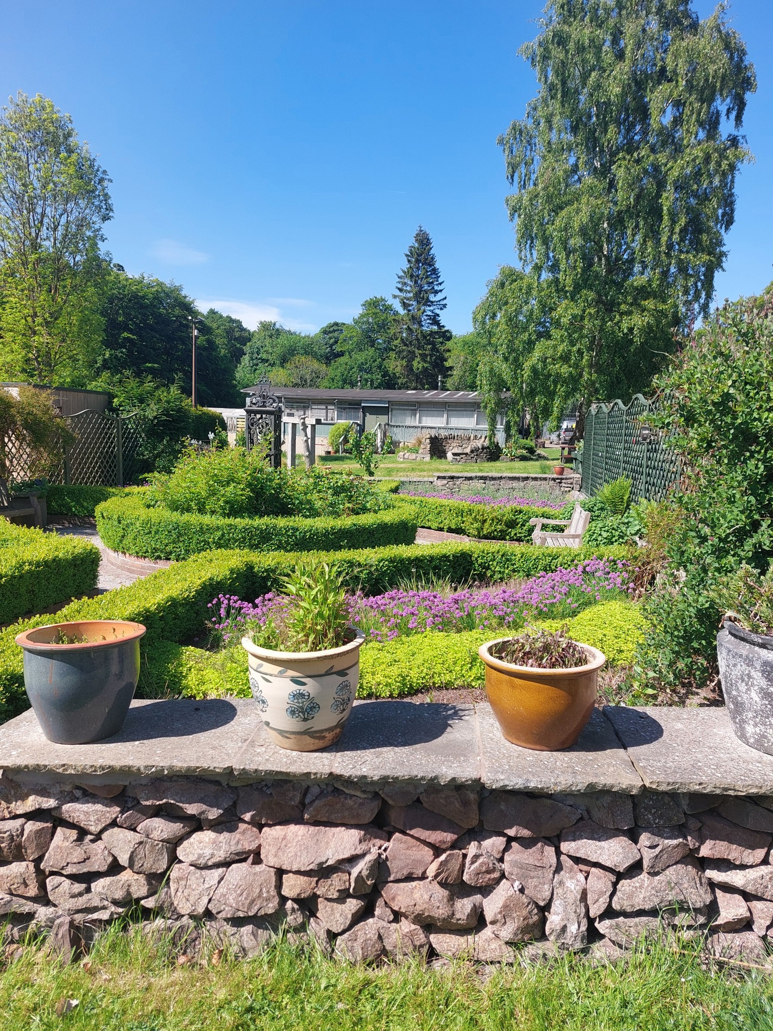 Edinburgh - An Introduction to Therapeutic Horticulture led by Trellis Scotland