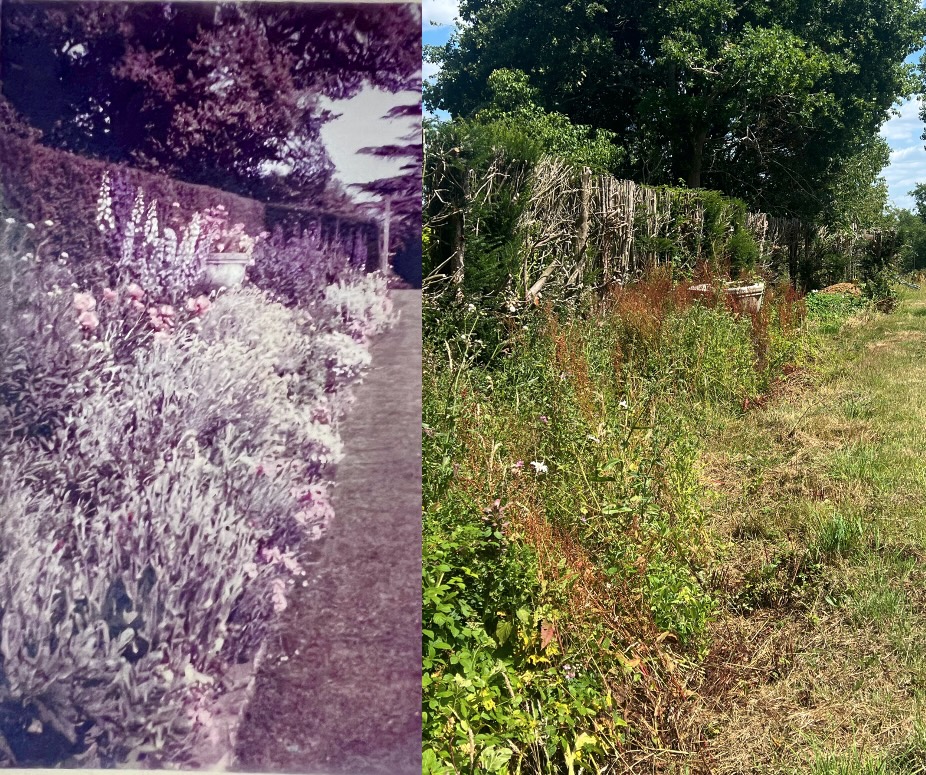 West Sussex - Border Planting Practical Skills Day