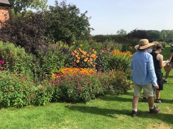Warwickshire - Growing & Propagating Salvias Workshop