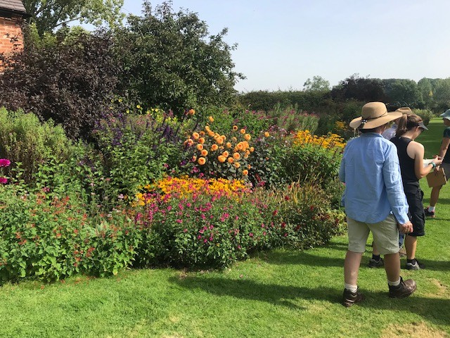 Warwickshire - Growing & Propagating Salvias Workshop