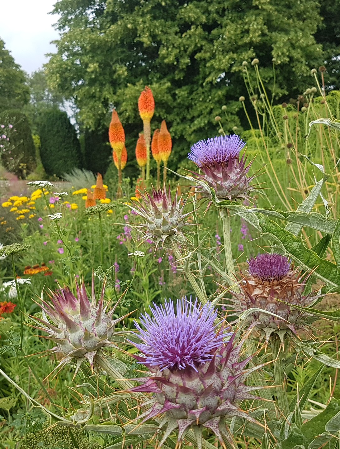 On-line - Choosing Plants to Encourage Wildlife 10/03/26